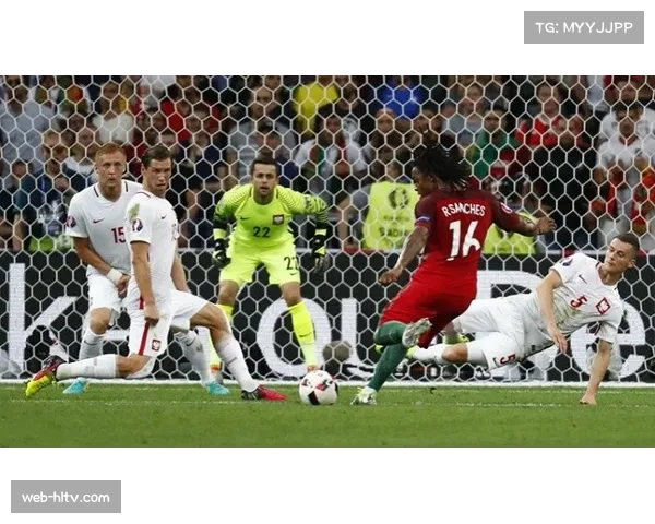 鲨鱼新星赛勒布里尼助攻表现亮眼 年轻球员成长速度超出预期