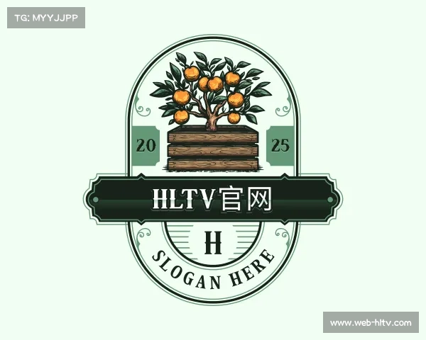 了解hltv官网